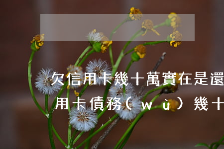 欠信用卡幾十萬實在是還不上,怎么辦，深陷信用卡債務(wù)，幾十萬無力償還，該如何解決？